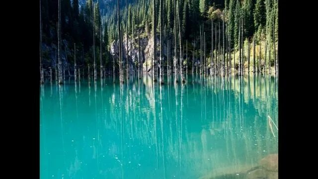 Озеро каинды фото Лес под водой. Озеро Каинды. - смотреть видео онлайн от "Танцы Импульсов" в хоро