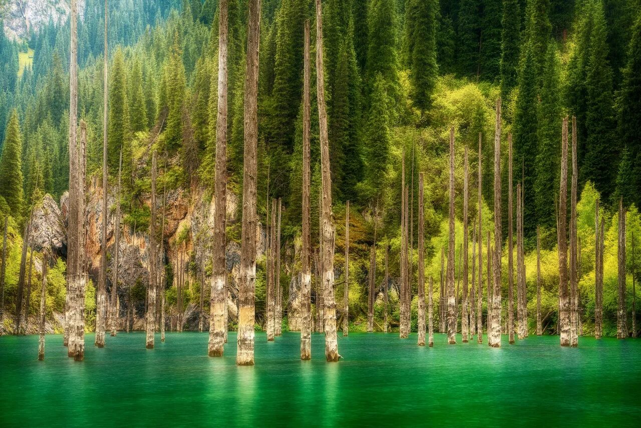 Озеро каинды фото By Kozlov Sergey #КнигаФотографий On Kaindy Lake 2023 Книга растений VK