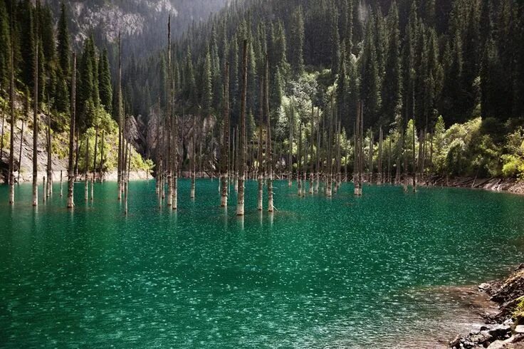 Озеро каинды фото Kazakistan'dan muhteşem doğa manzaraları... Natural phenomena, Oceans of the wor