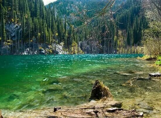 Озеро каинды казахстан фото Kolsai Lakes Reviews - Almaty, Kazakhstan Attractions - TripAdvisor Most beautif