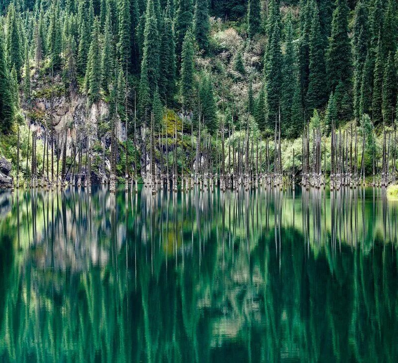 Озеро каинды казахстан фото Озеро каинды - Арт Минск.ру