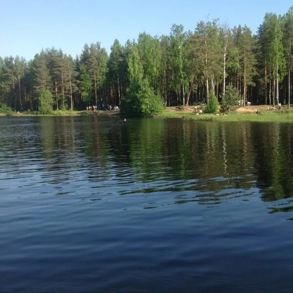 Озеро каменка фото Озеро каменка новосибирск пляж
