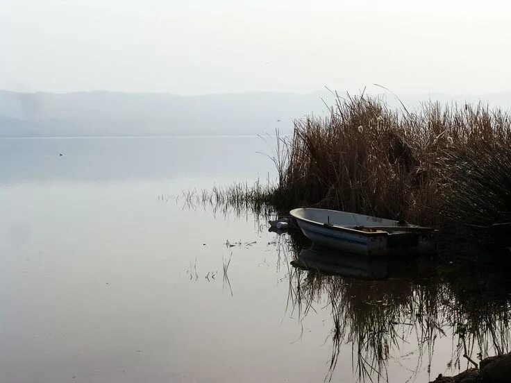 Озеро камыши фото Boat, Reeds Lake Iznik Turkey Boat Water Calm Pe #boat, #reeds, #lake, #iznik, #
