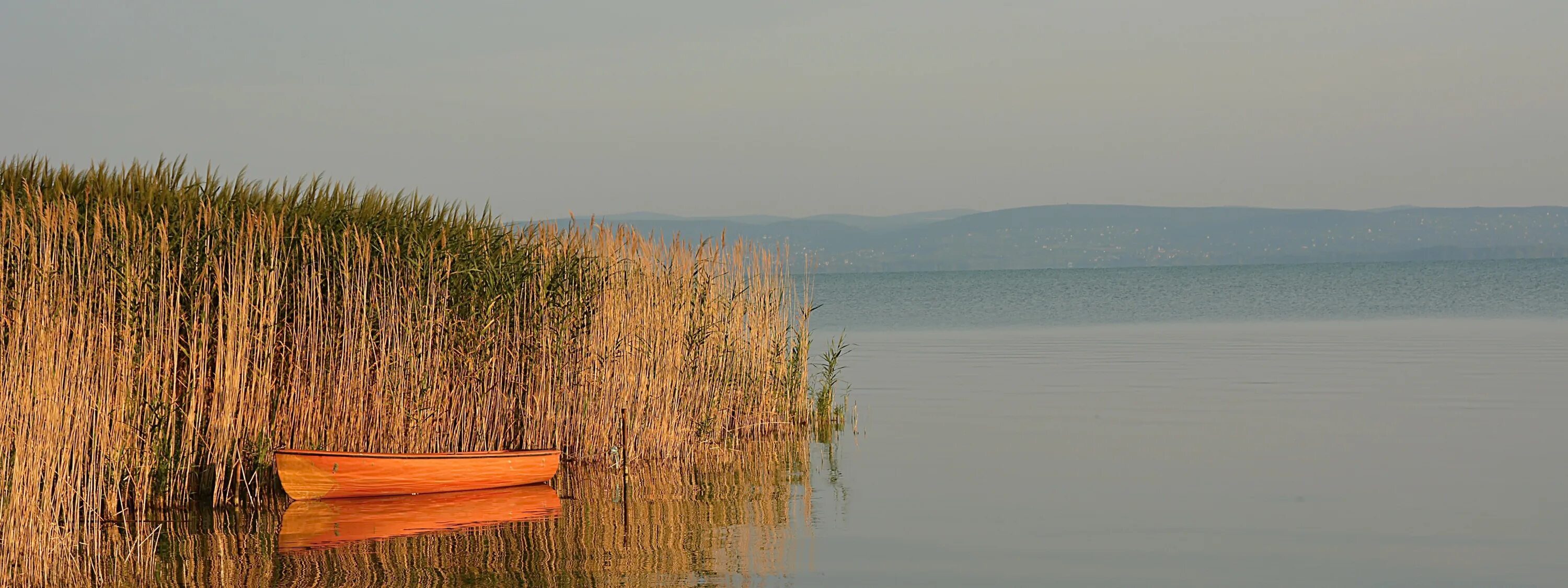 Озеро камыши фото Скачать обои Природа, Озеро, Лодка, Nature, Lake, Boat, Камыши, раздел пейзажи в