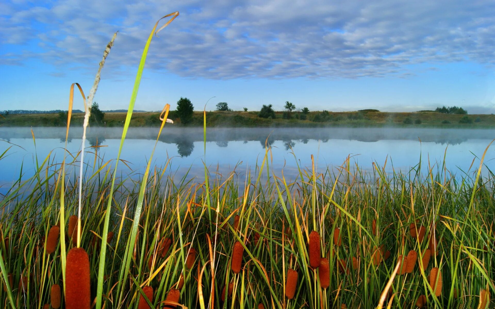 Озеро камыши фото HD desktop wallpaper: Lakes, Lake, Earth download free picture #305015