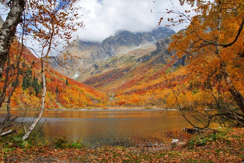 Озеро кардывач сочи фото Мобильная версия Sochi Mountain