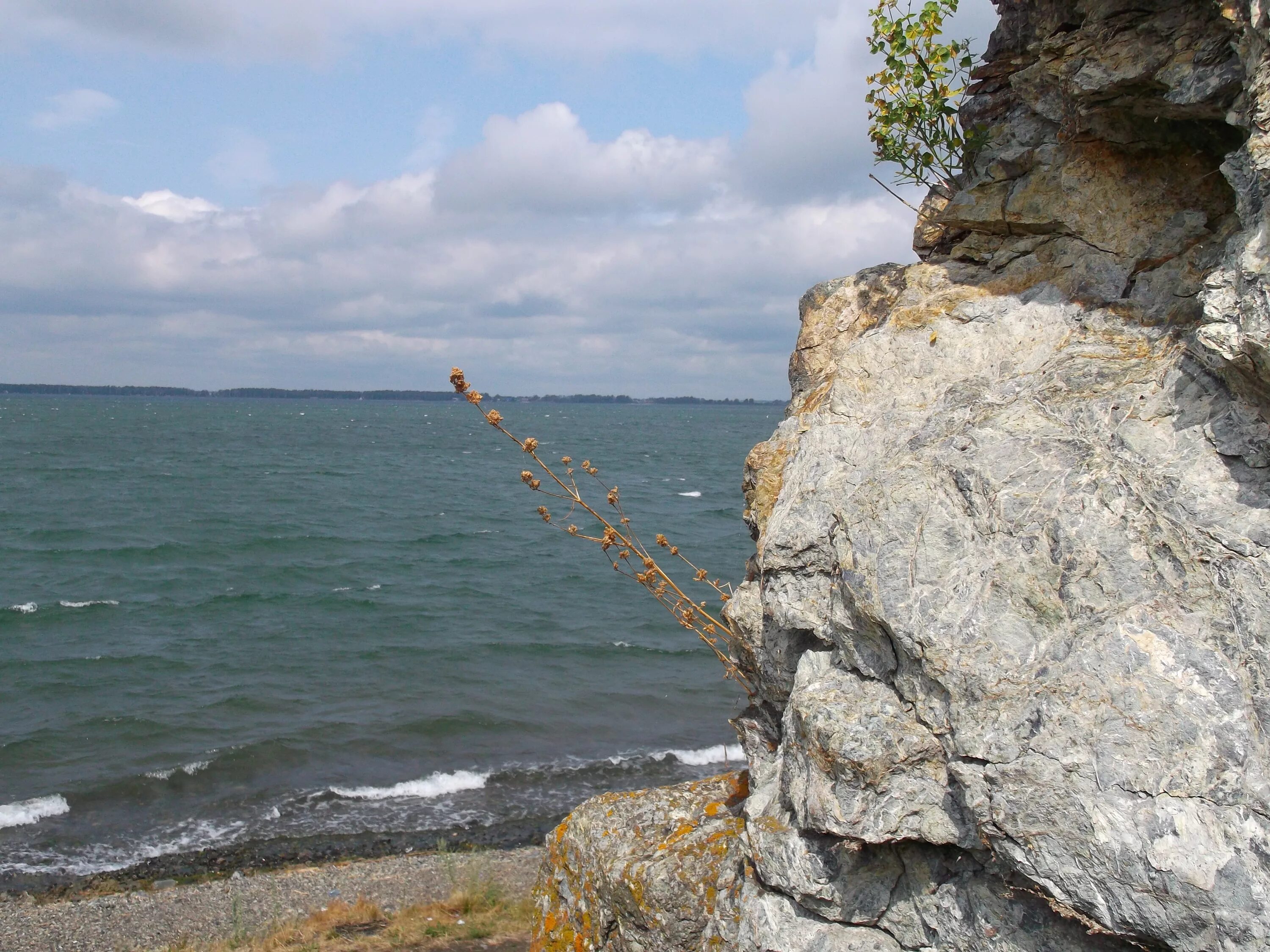 Озеро касарги фото File:Озеро Касарги - panoramio (11).jpg - Wikimedia Commons