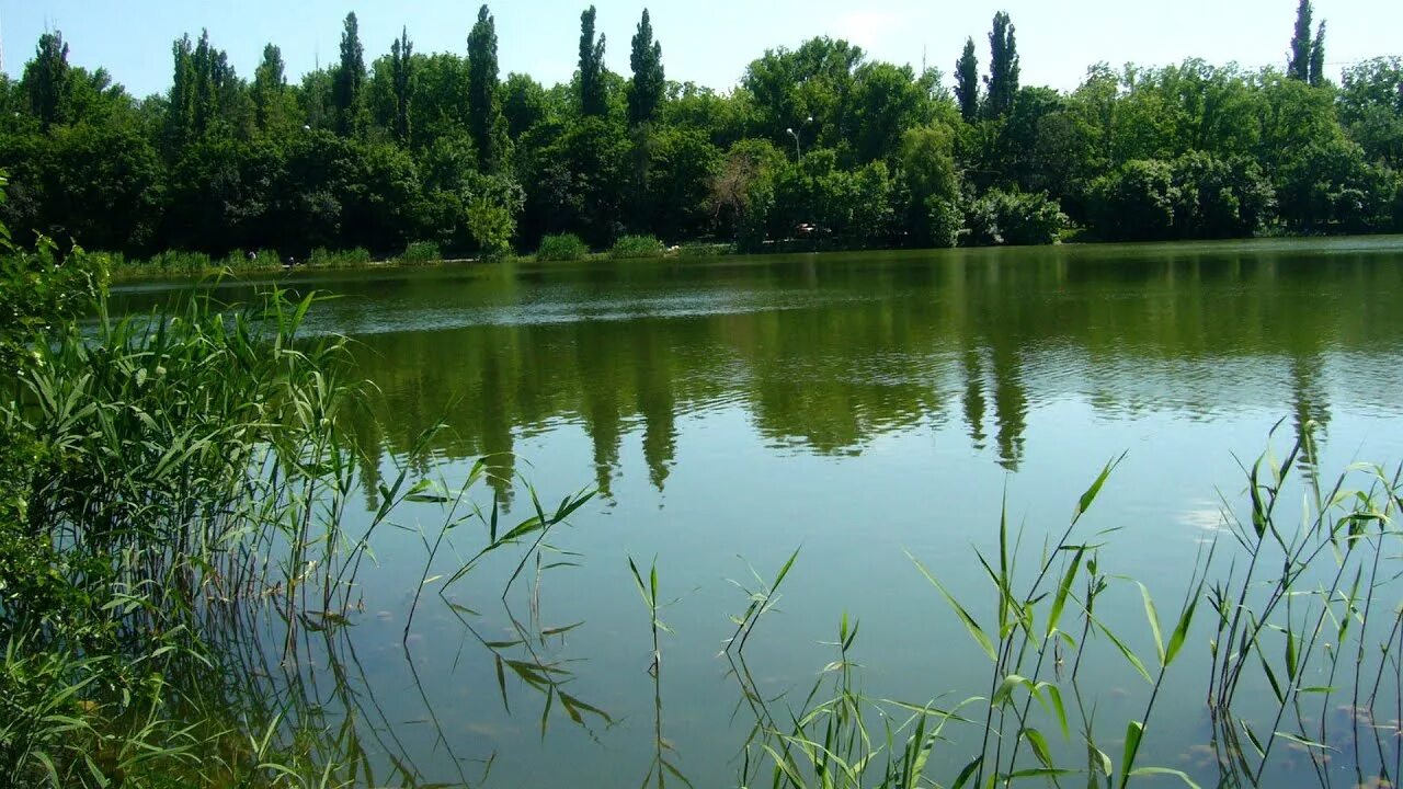 Озеро копанка краснодар фото Прогулки по Краснодару. Озеро Верхнее Покровское - YouTube