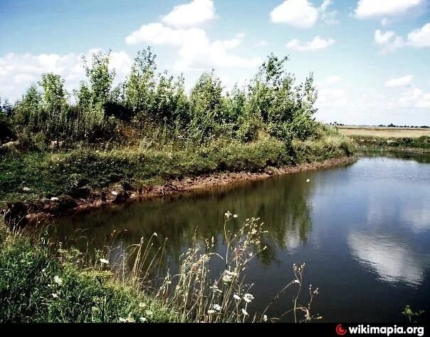 Озеро копанка краснодар фото Копанка в с. Запорожье - Запорожье