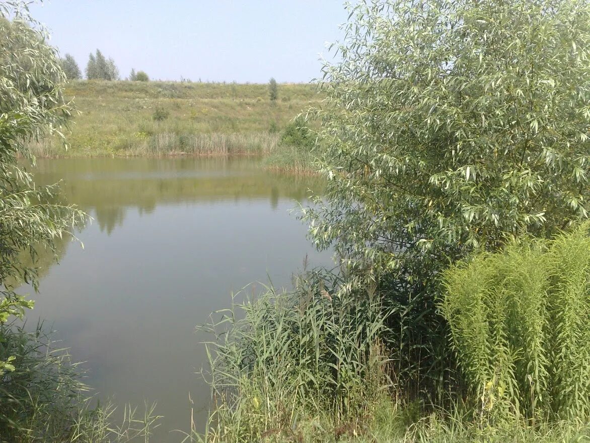 Озеро копанка краснодар фото Озеро Копанка