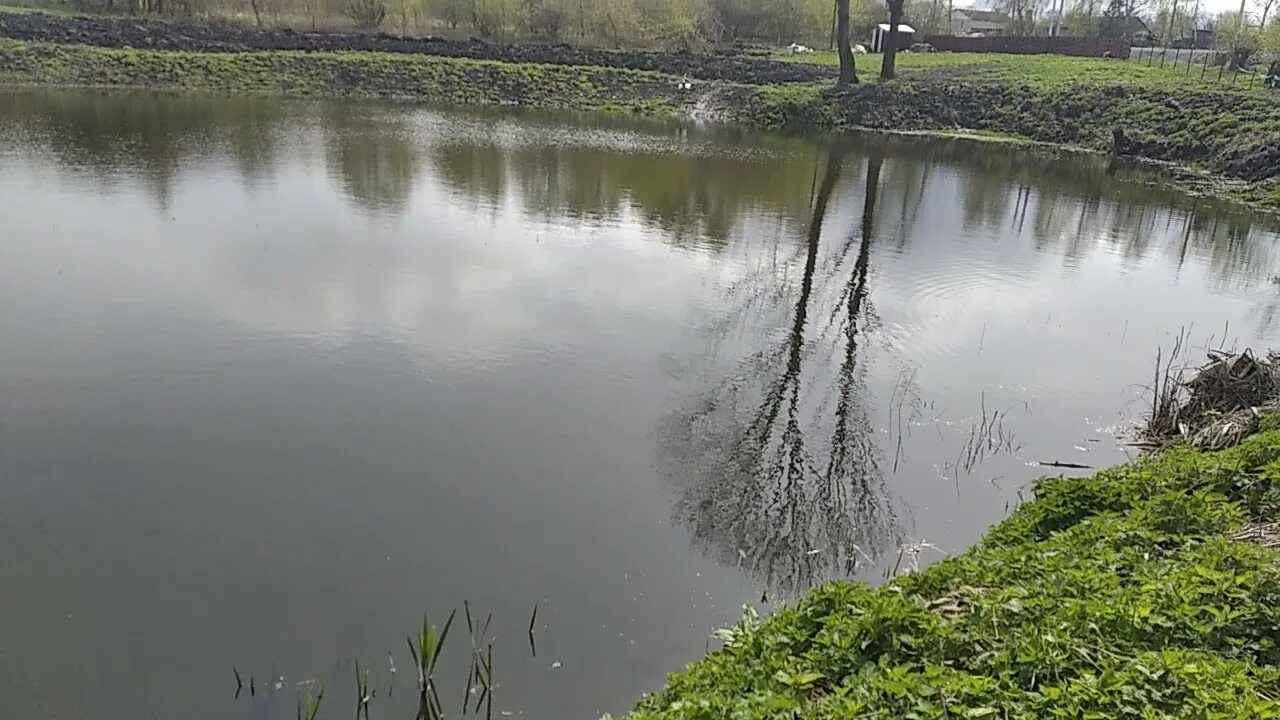 Озеро копанка краснодар фото обзор пруда копанки на участке, строил один - YouTube