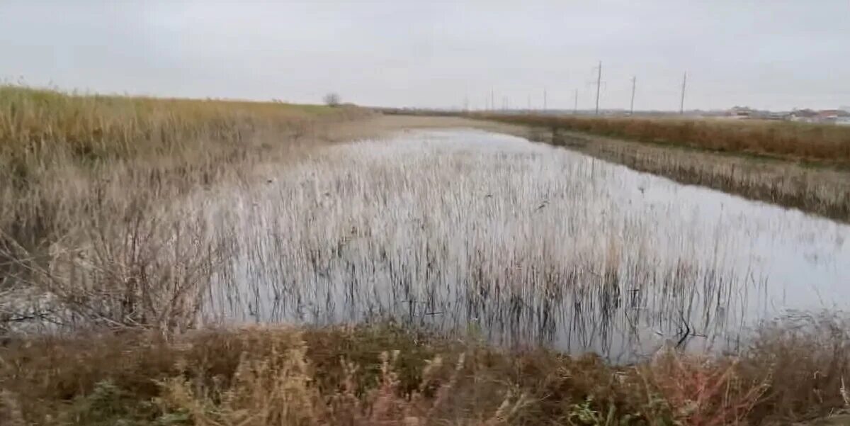 Озеро копанка краснодар фото Экологическая катастрофа": в пригороде Краснодара появилось зловонное озеро биол