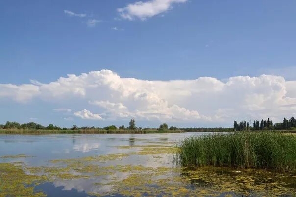 Озеро копытце в усть лабинске фото Усть лабинск озеро копытце
