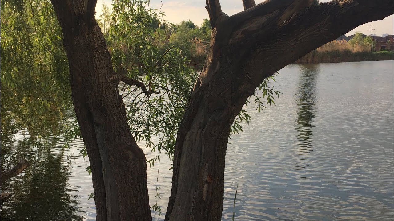 Озеро круглик краснодар фото Краснодар. Озеро Круглик - YouTube