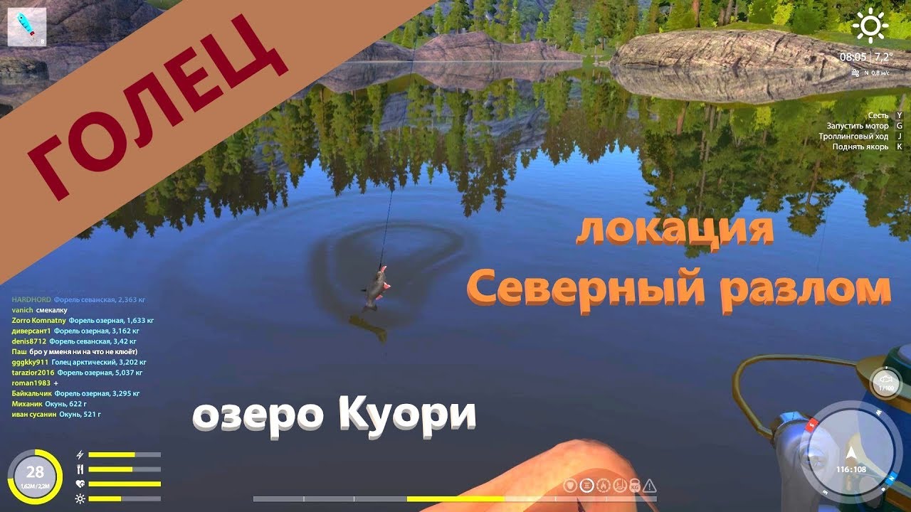 Озеро куори на что ловить Русская рыбалка 4 - озеро Куори - Голец на длинной яме - YouTube