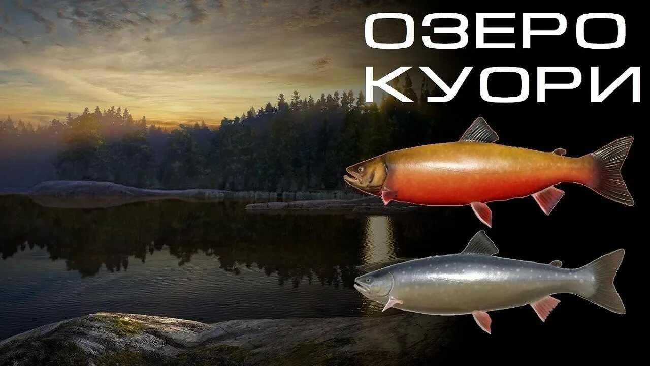 Озеро куори на что ловить Русская рыбалка 4 l Russian fishing 4. ГОЛЕЦ. Озеро КУОРИ. - YouTube
