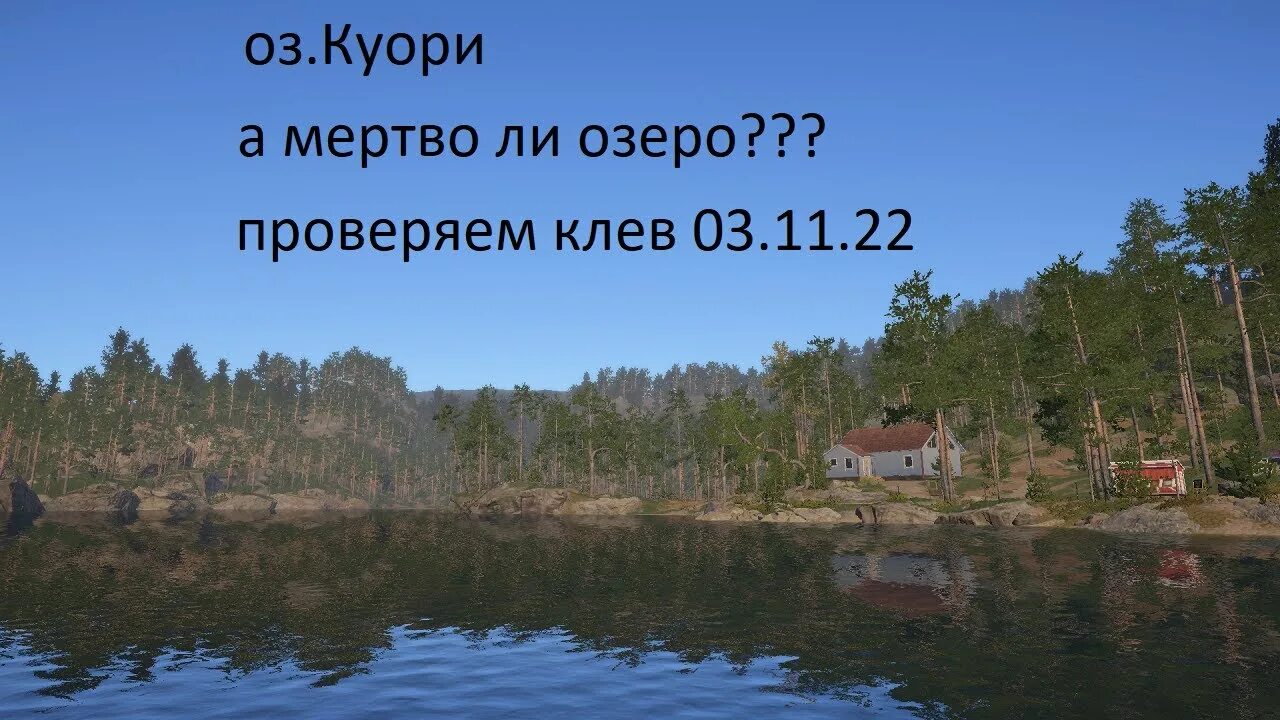 Озеро куори на что ловить Русская рыбалка 4 -оз.Куори- проверяем клев 03.11.22 - YouTube