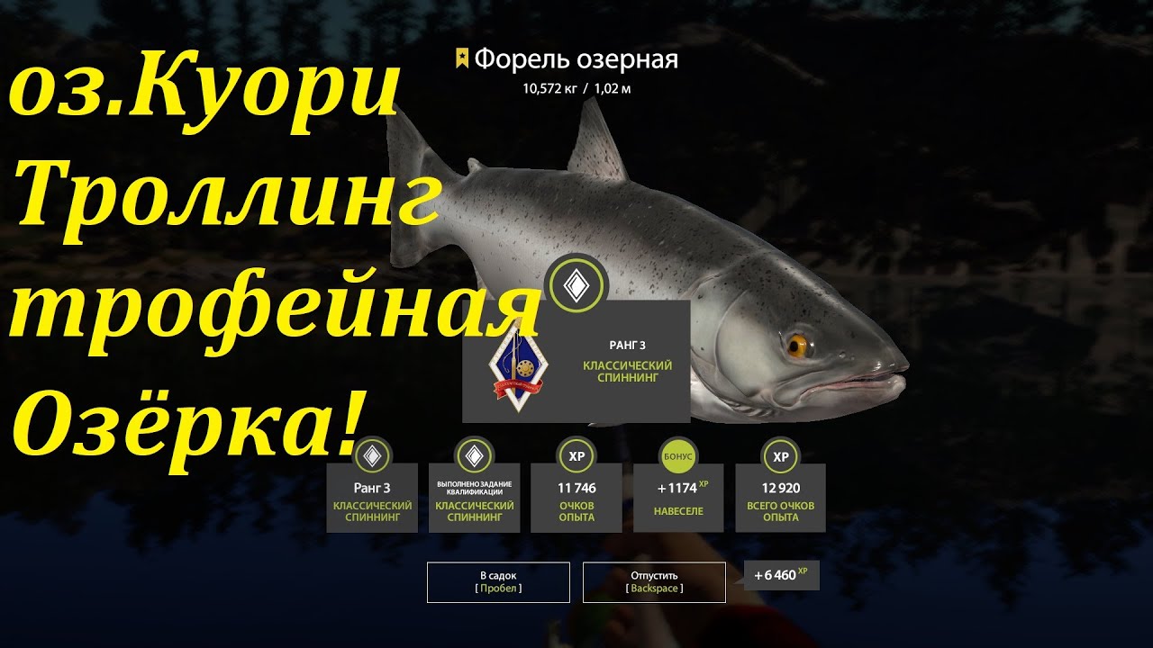Озеро куори рр4 на что ловить Русская рыбалка 4. оз.Куори. Троллинг. Трофейная озёрная форель! рр4 - YouTube