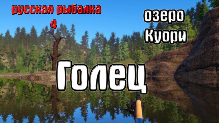 Озеро куори рр4 на что ловить Русская рыбалка 4(рр4/rf4) - озеро Куори. Голец. Рыбалка, Озеро, Озера