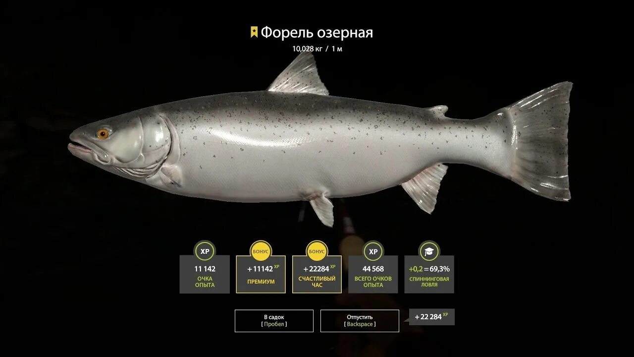 Озеро куори рр4 на что ловить Русская рыбалка 4. КУОРИ - YouTube