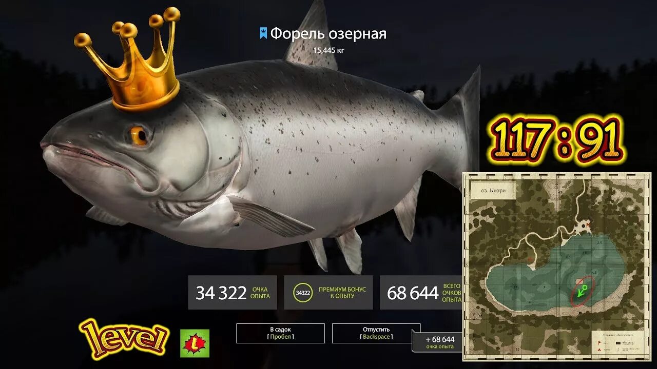 Озеро куори рр4 на что ловить Синяя Форель озерная оз. Куори РР4 - YouTube