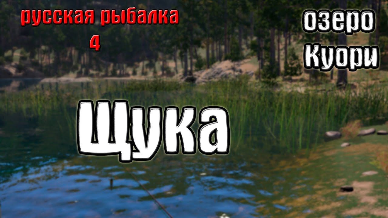 Озеро куори рр4 на что ловить Русская рыбалка 4/рр4/rf4 - озеро Куори. Щука. Рыбалка, Озеро, Щука