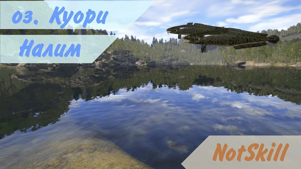 Озеро куори рр4 на что ловить Русская рыбалка 4. оз. Куори. Место для ловли налима. - YouTube