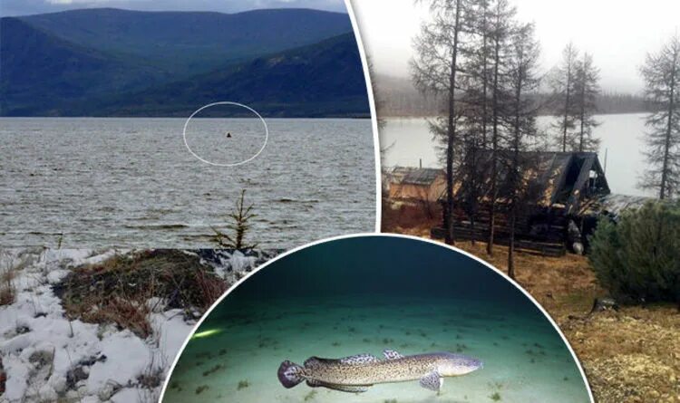 Озеро лабынкыр в якутии чудовище фото Russia's Loch Ness Monster, the Labynkyr Devil 'tears through nets' Travel News 