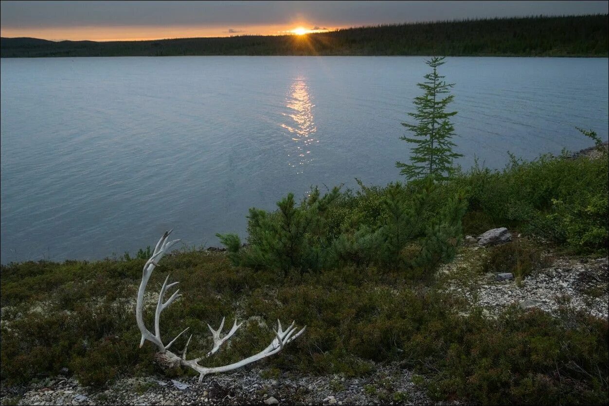 Озеро лабынкыр в якутии фото Pin on places Celestial, Sunset, Outdoor