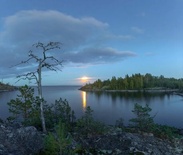 Озеро ладога фото Lake Ladoga in 2024 Nature, Lake view, Tree forest