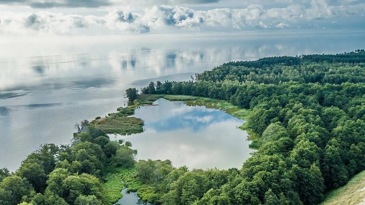 Озеро лебедь куршская коса фото Куршская коса (Kurische Nehrung) Калининградская область - YouTube