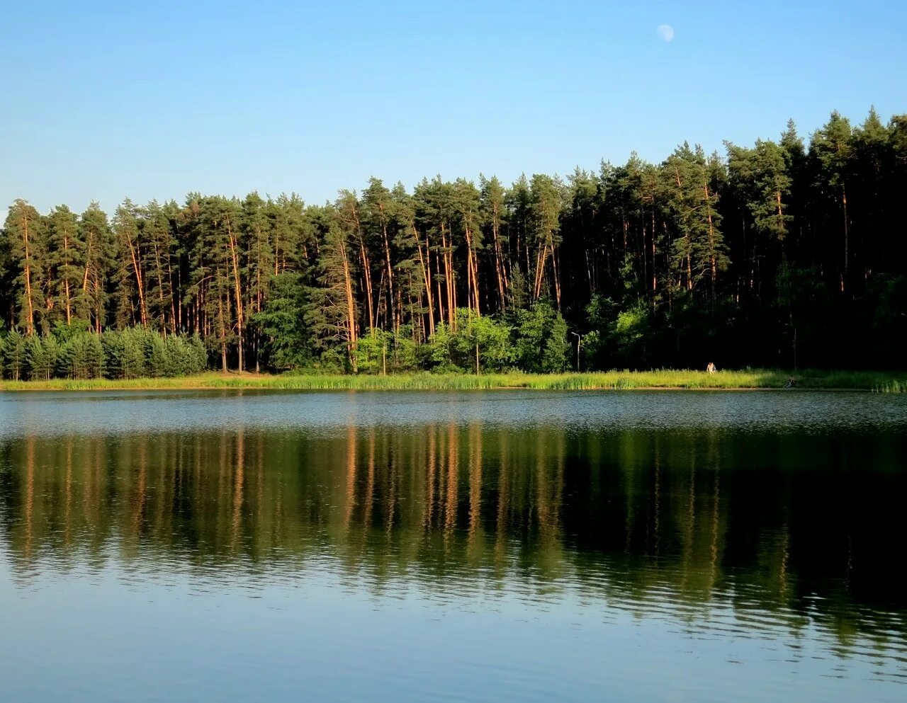Озеро лебяжье фото Reviews about Plyazh Lebyazhye ozero, Republic of Tatarstan, City of Kazan, Kiro