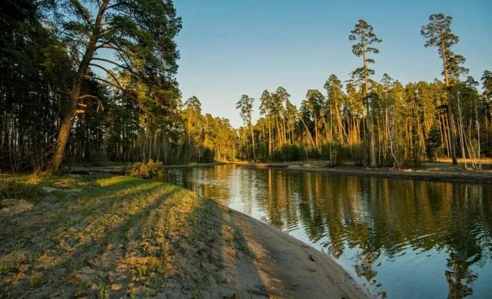 Озеро лебяжье казань фото Forest-Lake, rental of venues for cultural events, Republic of Tatarstan, City o