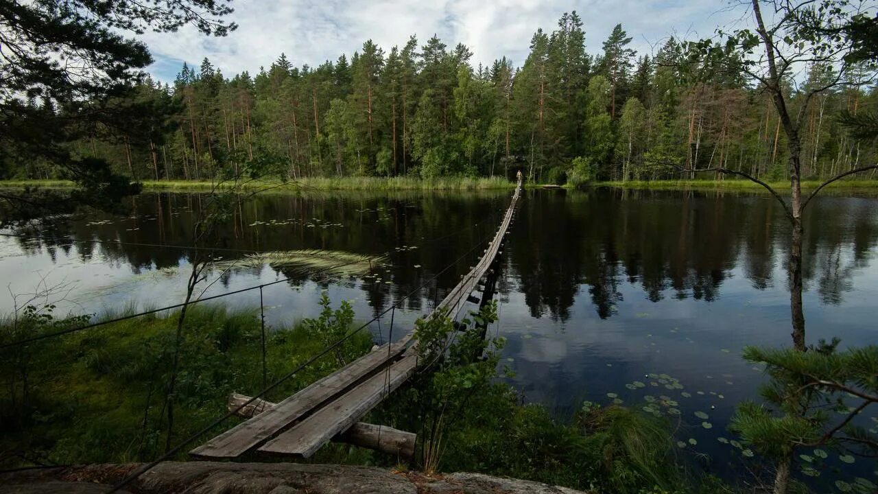 Озеро ленинградская область фото Экотропы Петербурга и Ленобласти: 10 идеальных мест для прогулок вдали от городс