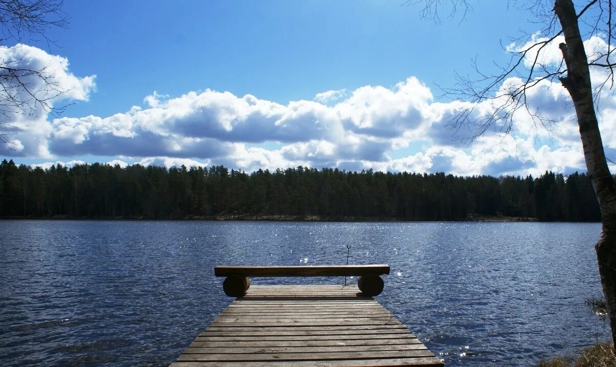Озеро ленинградская область фото Fishing base "Ryibatskiy hutor" Pervomayskoe Leningrad oblast: цены на проживани