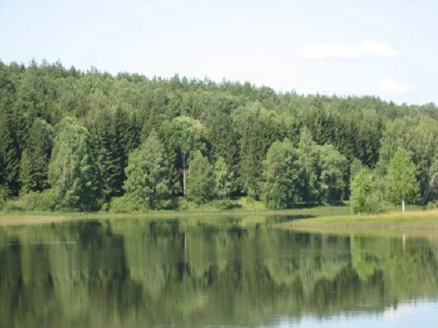 Озеро лесное самарская область волжский район фото Презентация к уроку 14
