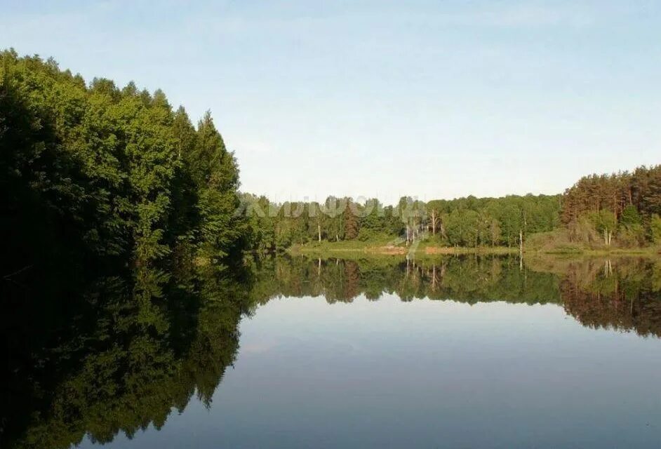 Озеро лесное самарская область волжский район фото Купить Дом в Снт на Школьной улице (посёлок Кошево) - предложения о продаже част