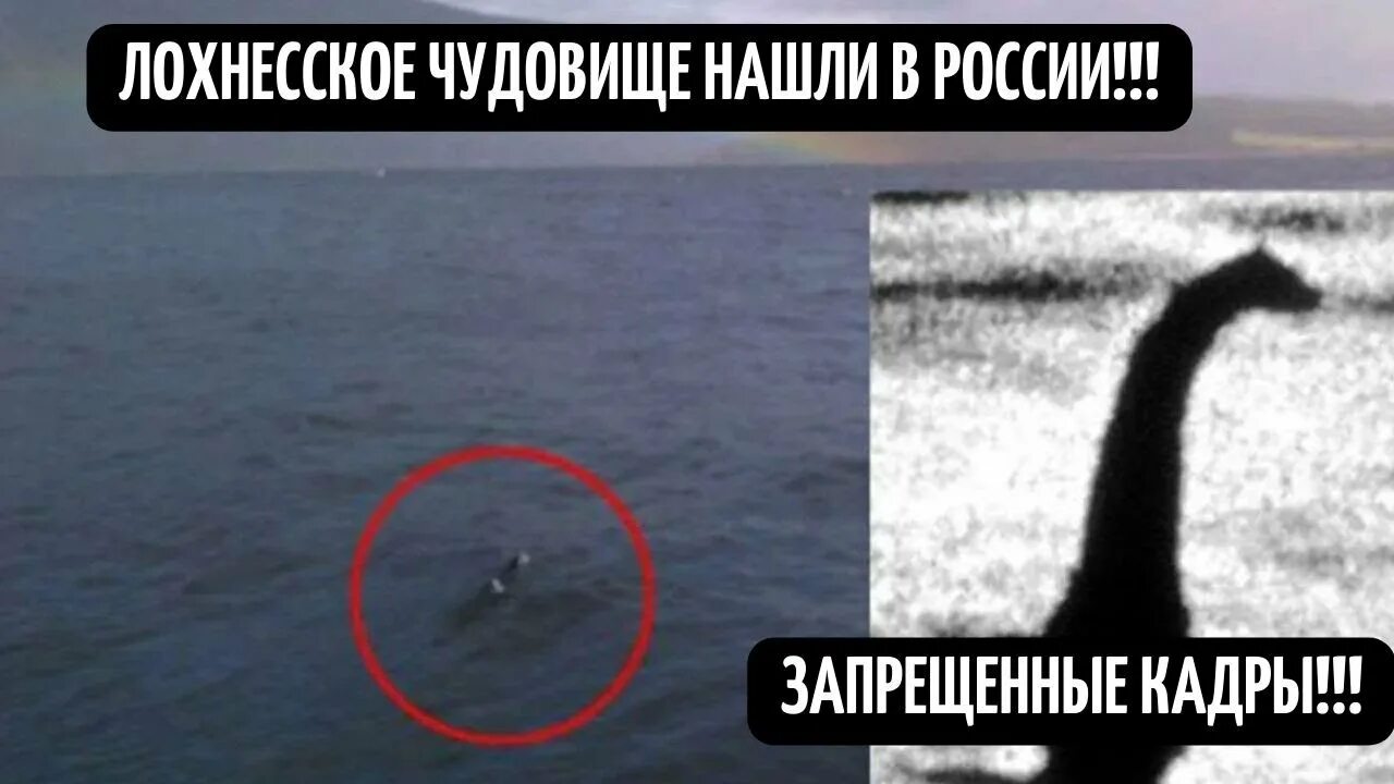 Озеро лохнесс чудовище реальное фото ЛОХНЕССКОЕ ЧУДОВИЩЕ В ОБНАРУЖИЛИ В РОССИИ! СВИДЕЛЬСТВА ОЧЕВИДЦЕВ! ДОКУМЕНТАЛЬНЫЙ