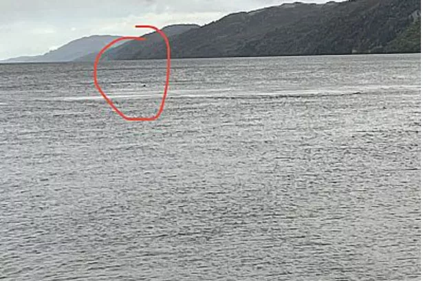 Озеро лохнесс чудовище реальное фото Mysterious black lump on Loch Ness recorded as sixth monster sighting of 2022 - 