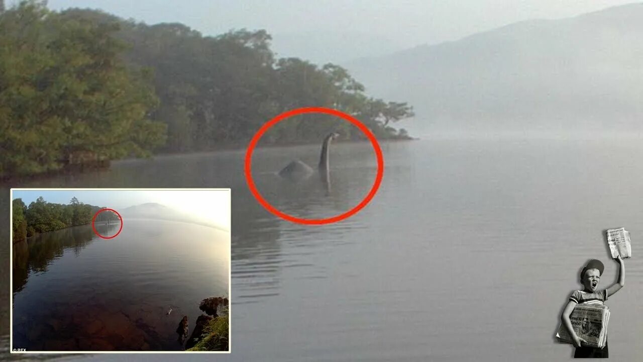 Озеро лохнесс чудовище реальное фото Is this the Loch Ness monster? Creature photographed in lake - YouTube