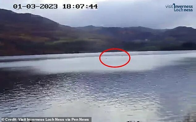 Озеро лохнесское чудовище фото Nessie's got a pal!': Video footage captures sighting of Loch Ness Daily Mail On