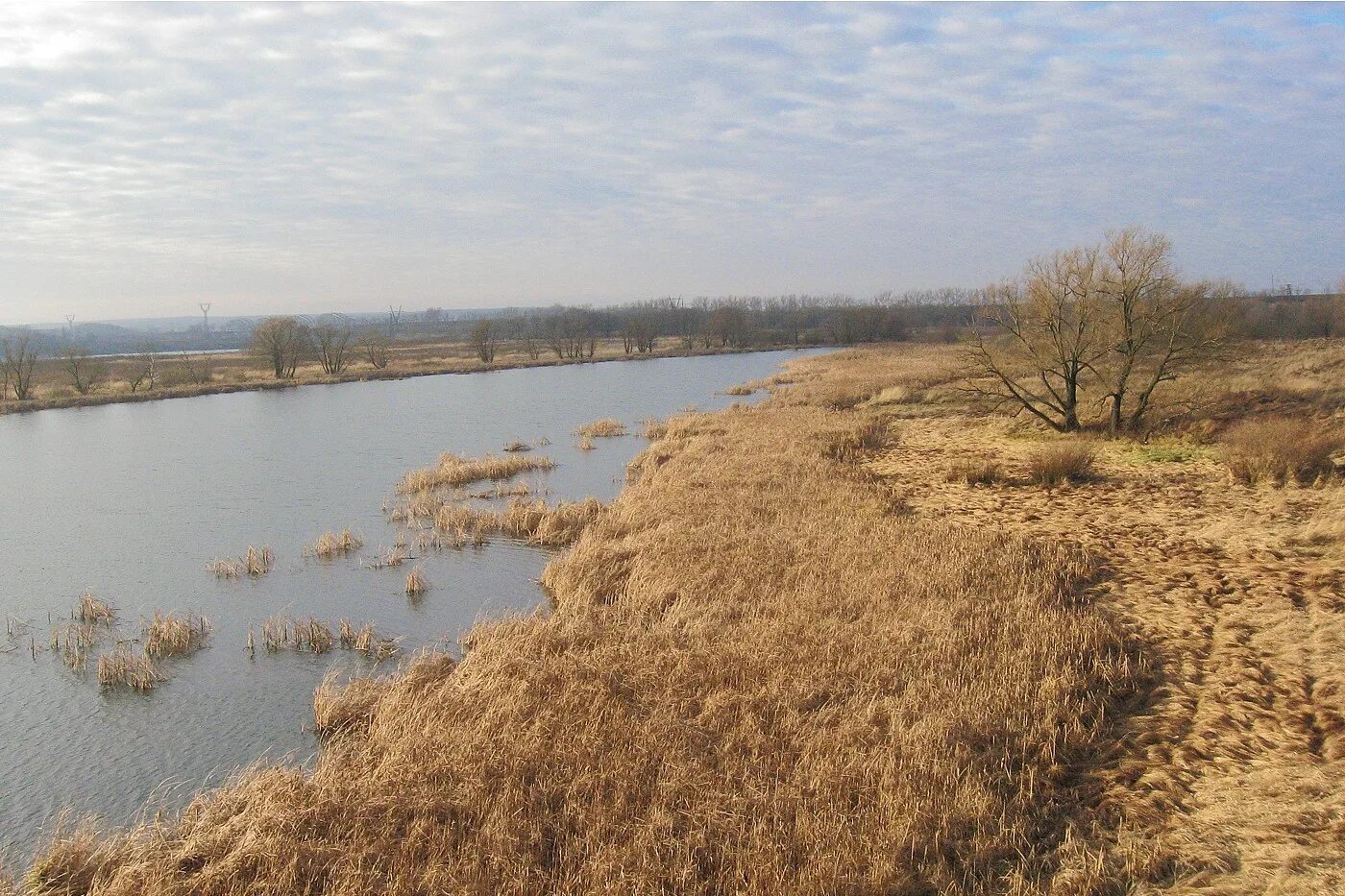 Озеро лютце фото Пойменное озеро. Берега покрыты... - Озеро Лютце - Landscapes and habitats - Pla