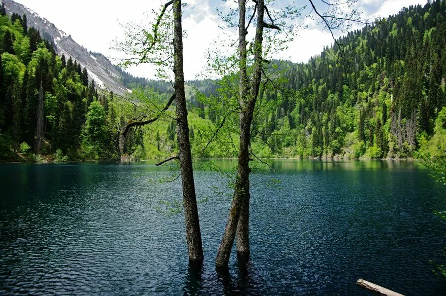 Озеро малая рица в абхазии фото Фото Озера Рица (37 фото)