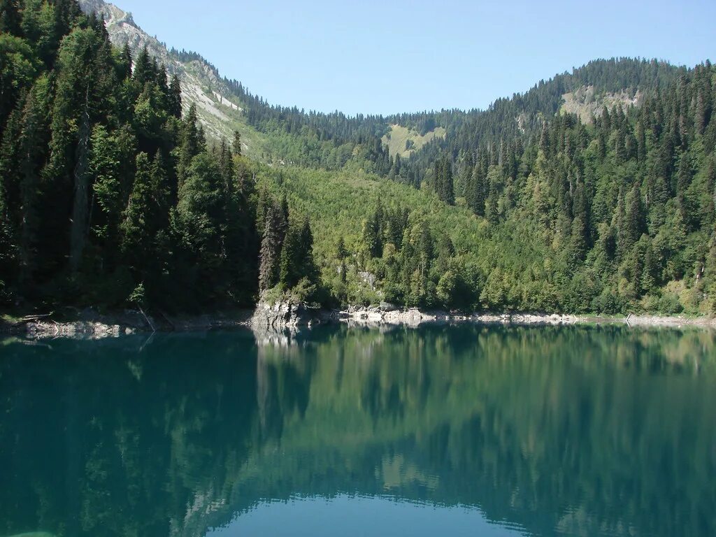 Озеро малая рица в абхазии фото CAUCASUS Flickr