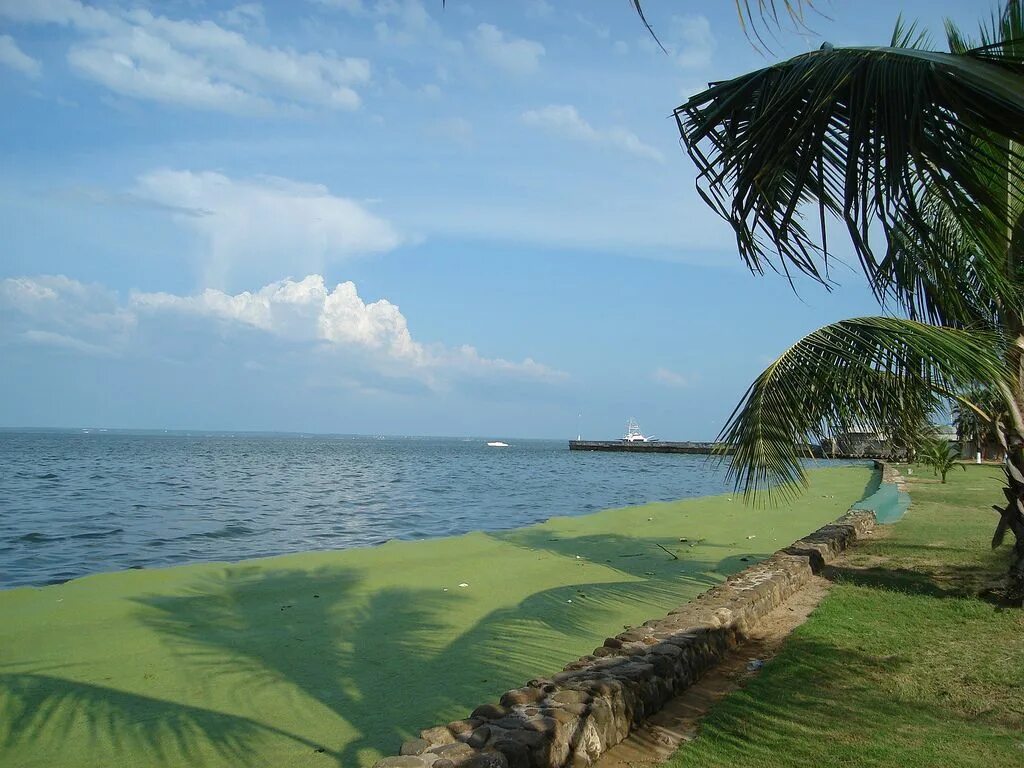 Озеро маракайбо фото Lake Maracaibo, Venezuela South america travel, Travel south, Travel