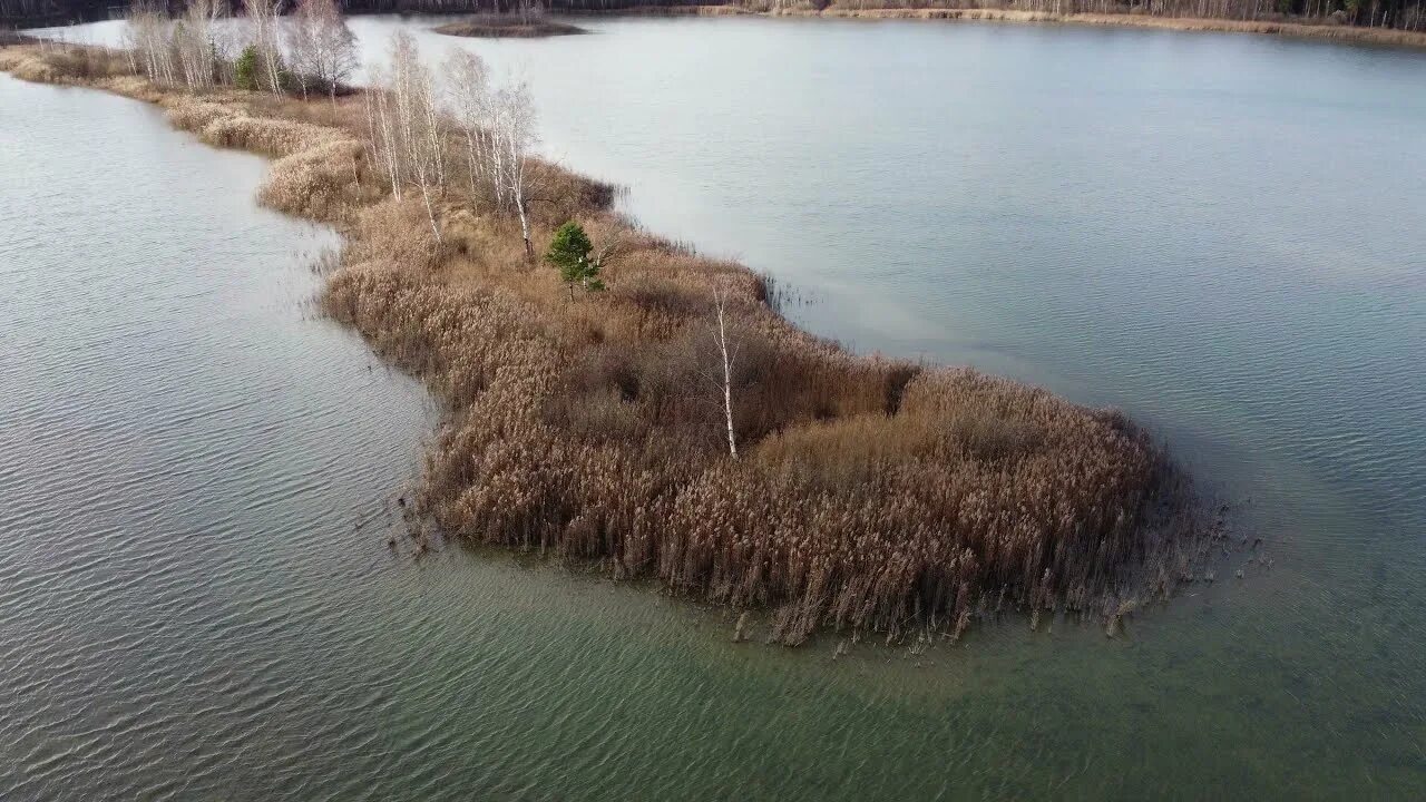 Озеро мазуринское балашиха фото Мазуринское озеро Балашиха - YouTube