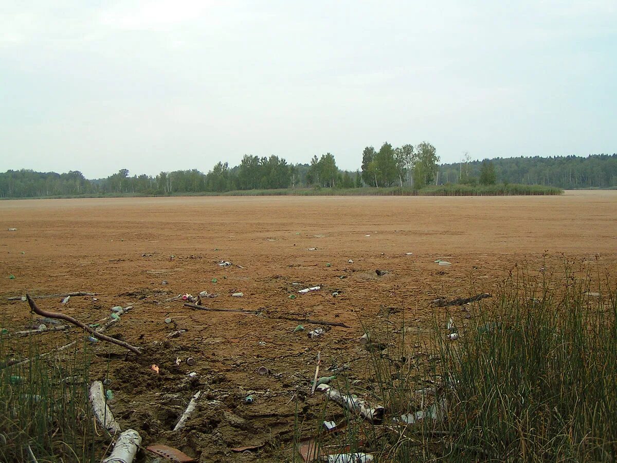 Озеро мазуринское балашиха фото Файл:Mazurinskoe lake 2010.jpg - Википедия