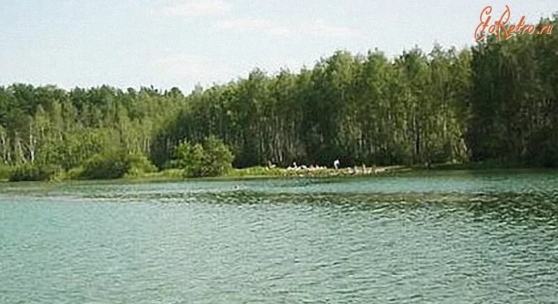 Озеро мазуринское балашиха фото На Мазуринском озере. - Россия Московская область Балашиха - ЭтоРетро.ru - стары