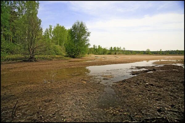 Озеро мазуринское фото на сайте "Демократор" организован сбор подписей по проблеме Мазуринского озера: 
