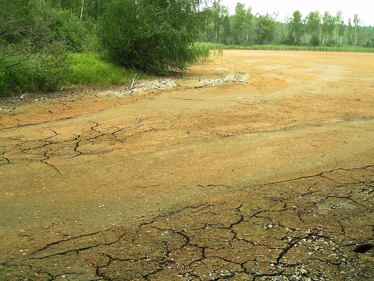 Озеро мазуринское фото Файл:Mazurinskoe lake Gorenka source 2010.jpg - Википедия